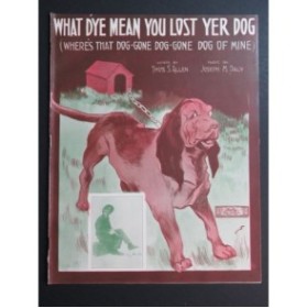 DALY Joseph M. What D'ye Mean You Lost Yer Dog Chant Piano 1913