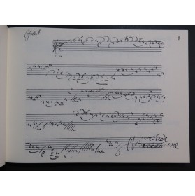 Manuscrit Béthune Tablature d'Angélique Luth 1978
