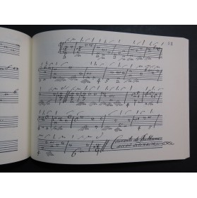 Manuscrit Béthune Tablature d'Angélique Luth 1978