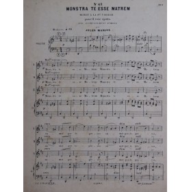 MASSUS Jules Monstra Te...