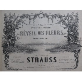 STRAUSS Johann Réveil des...