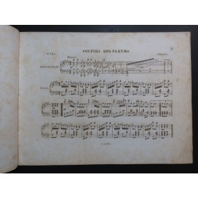STRAUSS Soupirs des Fleurs Piano ca1850