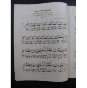 LOUIS N. Les Fleurs d'Hiver Piano XIXe siècle
