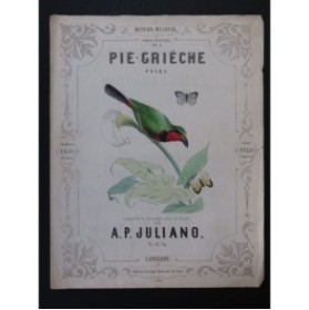 JULIANO A. P. Pie-Grièche Piano ca1850