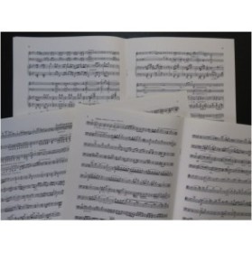 NOVAK Vitezslav Trio quasi una Ballata Violon Violoncelle Piano