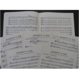 HAYDN Joseph Quartett D Dur Luth ou Guitare Violon Alto Violoncelle