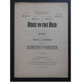 FORSTER Dorothy Rose In The Bud Chant Piano 1907